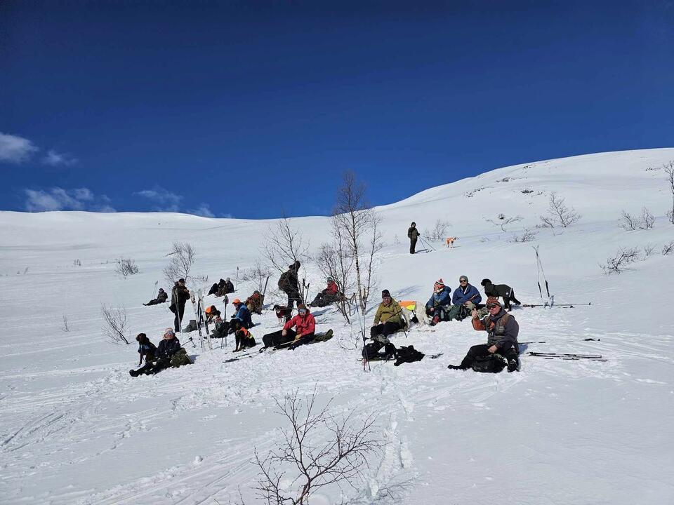 Mjølfjell 2024 - Lunsj lørdag i strålende sol