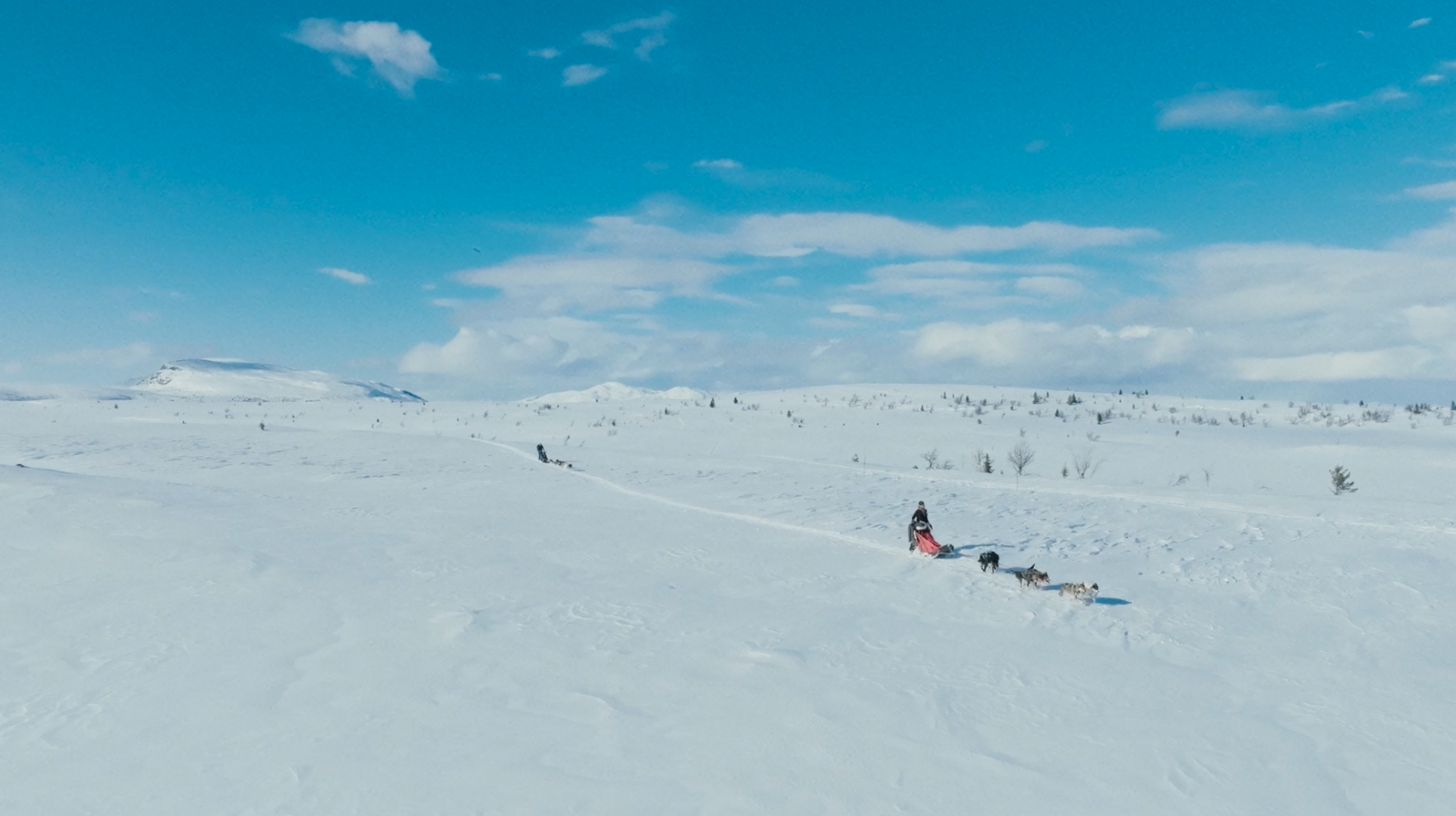 Hundekjøring i vinternatur i Gausdal