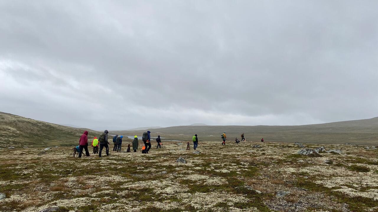 Bilde av av parti med deltakere og dommer under Hardangerviddaprøven 2023