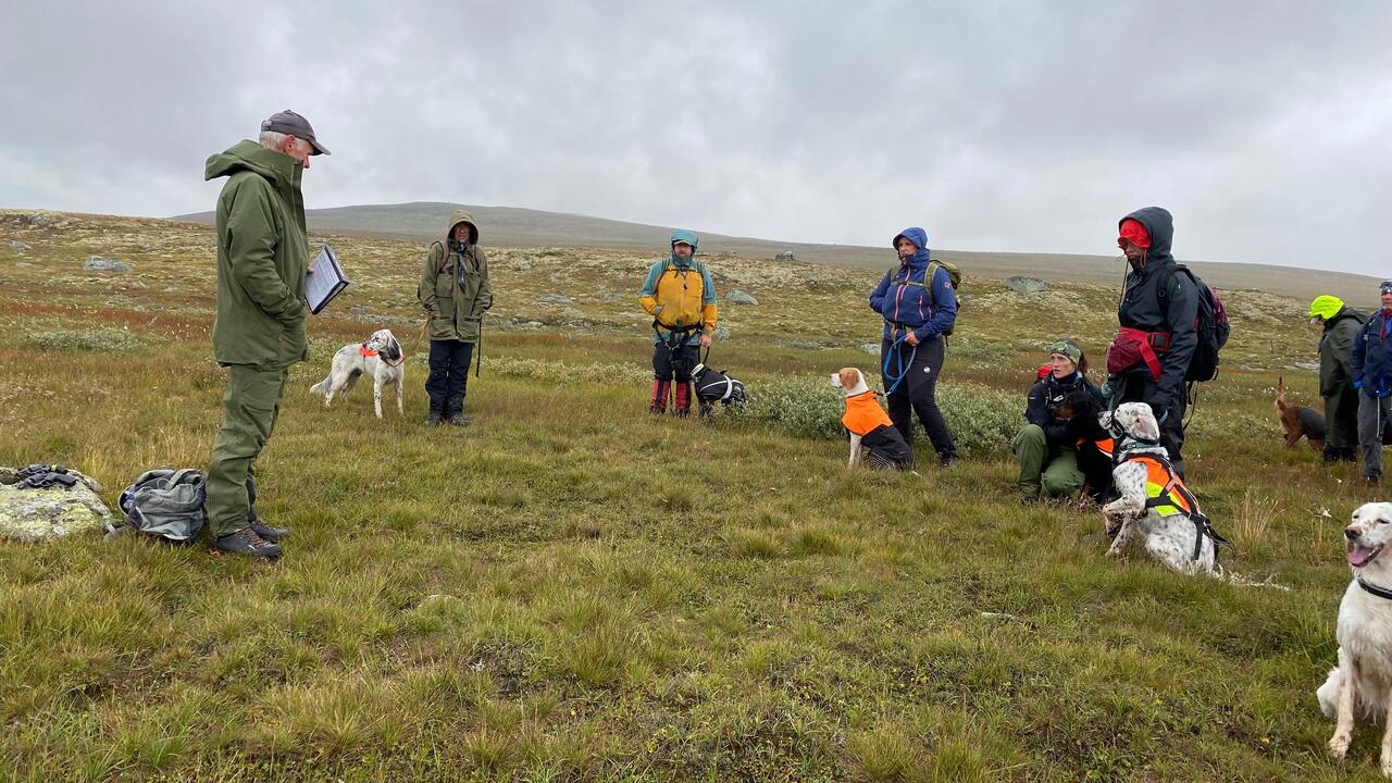 Bilde av parti fra Hardangerviddaprøven 2023