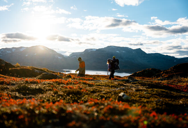 Bilde frå Haukelifjell