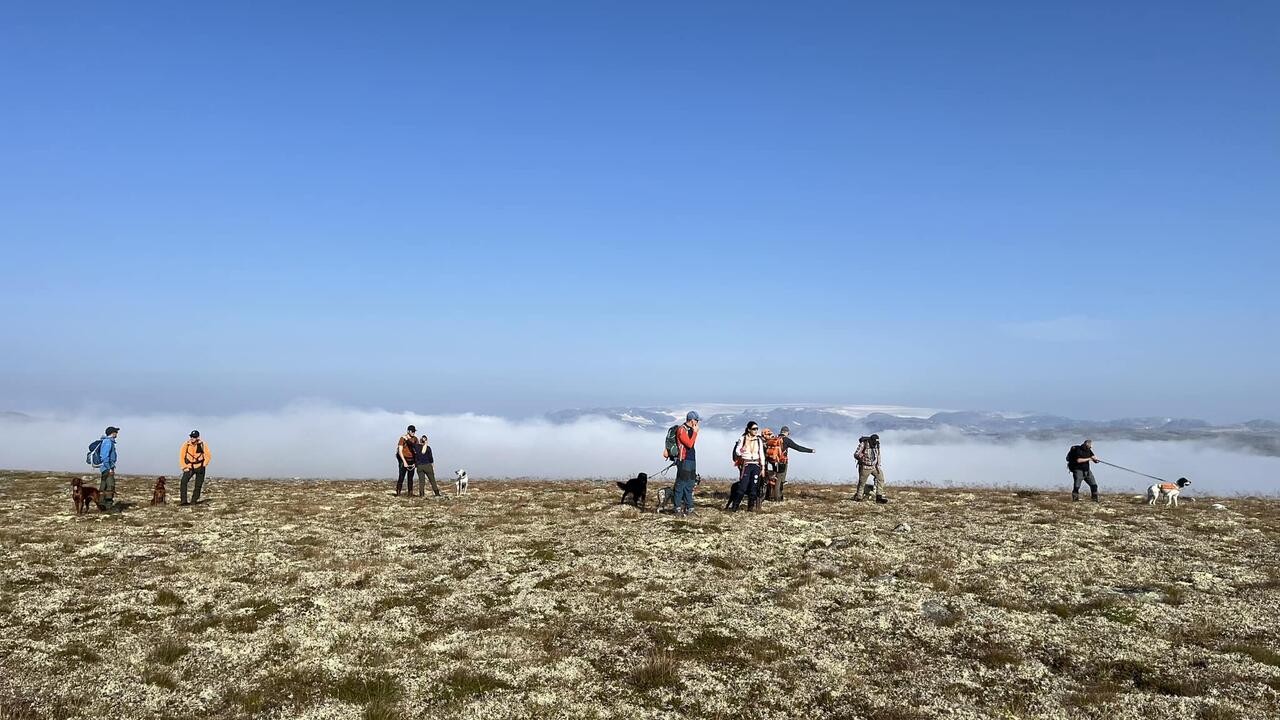 Hardangerviddaprøven 2024 Dag 1 - fra VK partiet