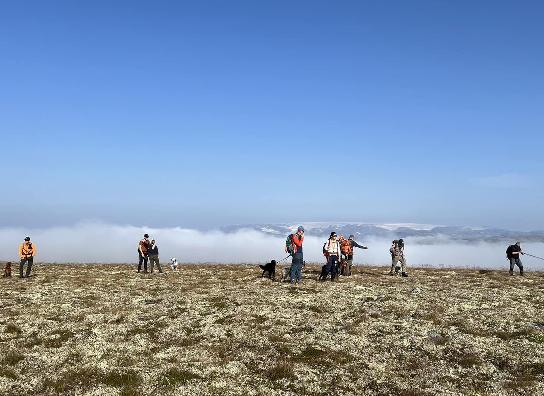 Hardangerviddaprøven 2024 Dag 1 - fra VK partiet