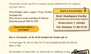 Jobbsøkerkurs Headspace og NAV