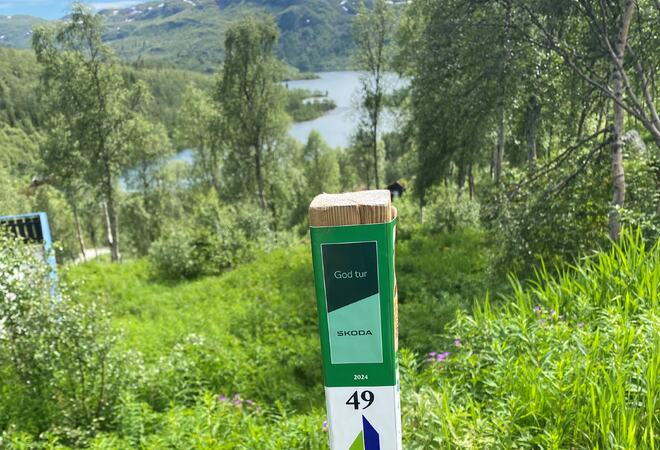 Bilde frå Stolpejakta