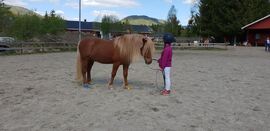 Hest mønstres av barn