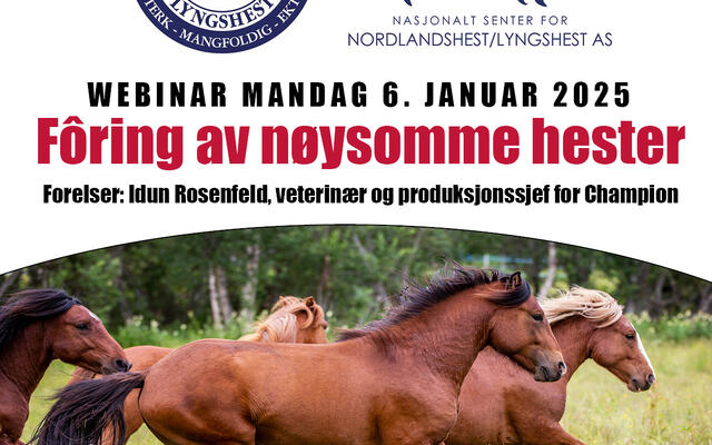 Webinar föring 2024 - banner150