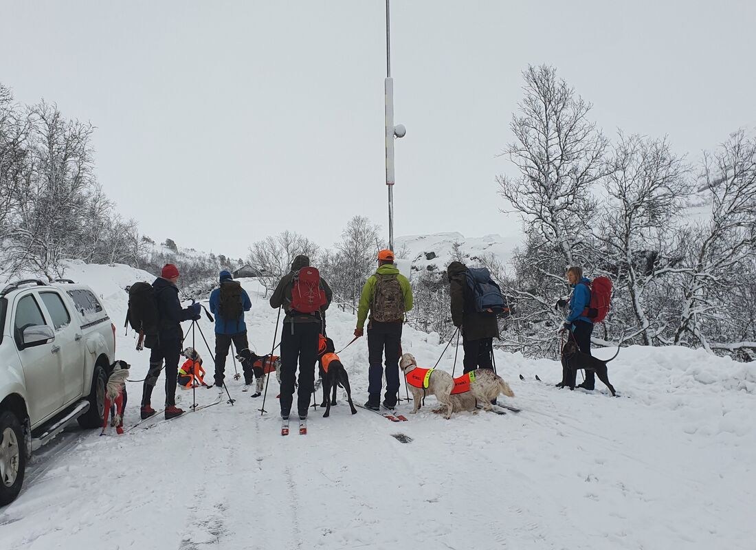 Treningssamling Gaularfjell