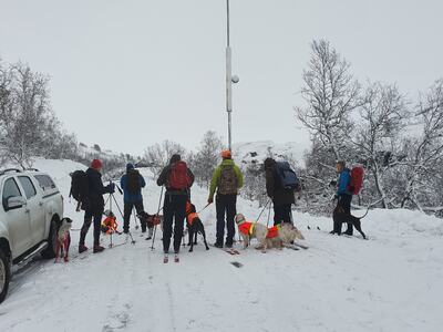 Treningssamling Gaularfjell