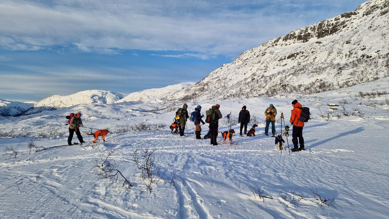 Treningssamling Gaularfjell 2025