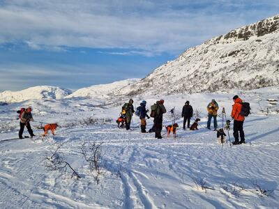 Treningssamling Gaularfjell 2025