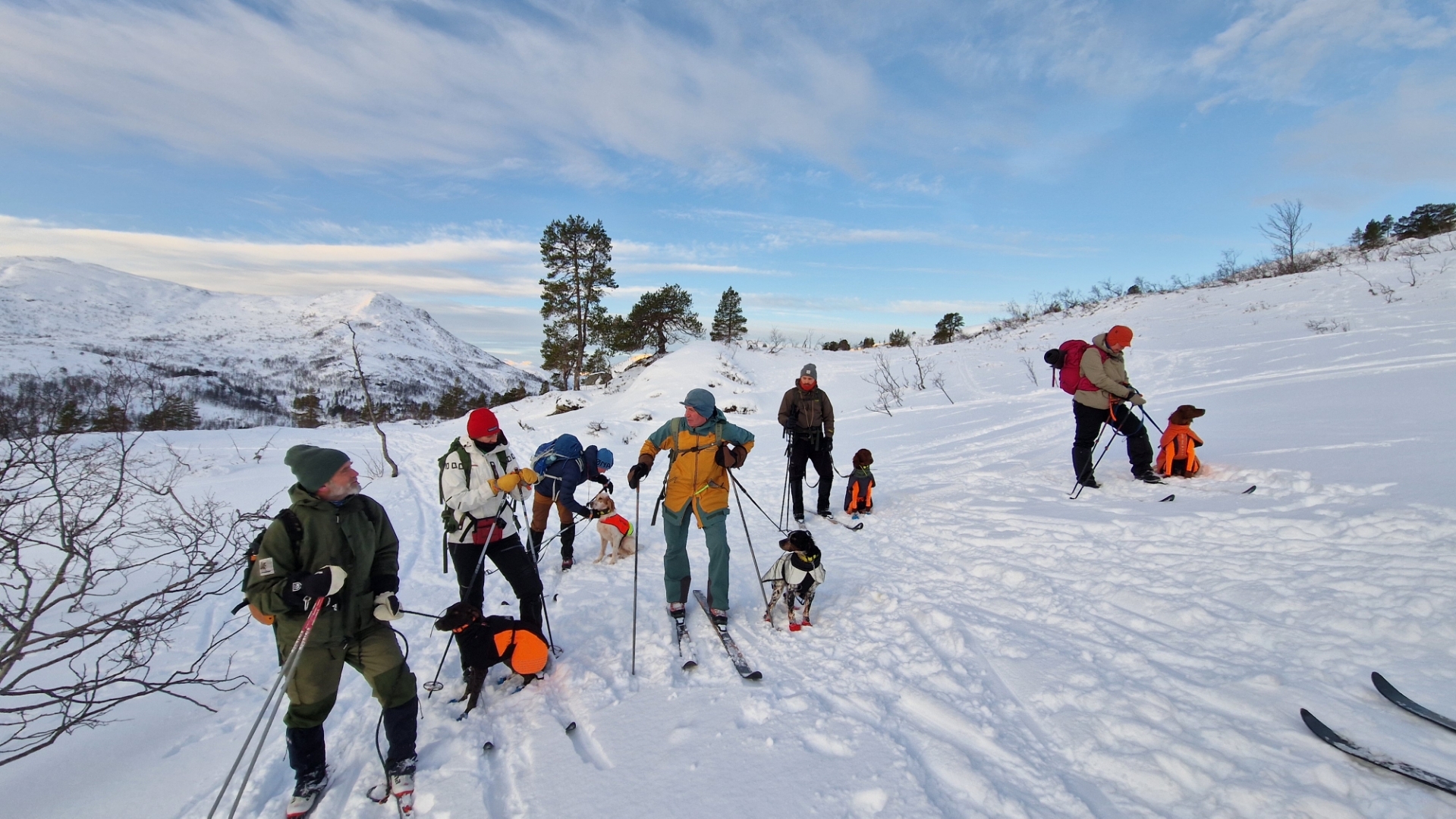 Treningssamling Gaularfjell 2025