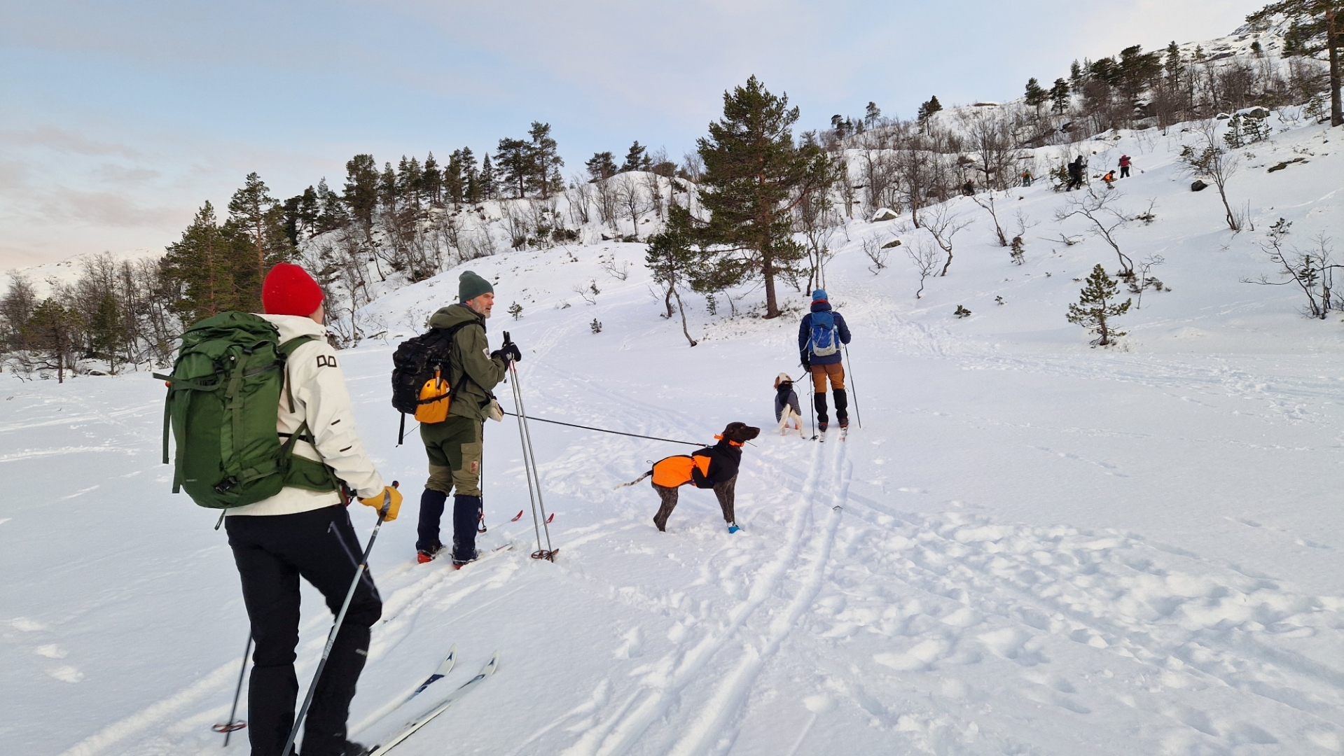 Treningssamling Gaularfjell 2025