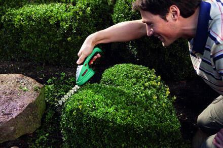 Bosch Isio_Heart topiary man