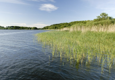 Foto: Statsforvalteren i Vestfold og Telemark.
