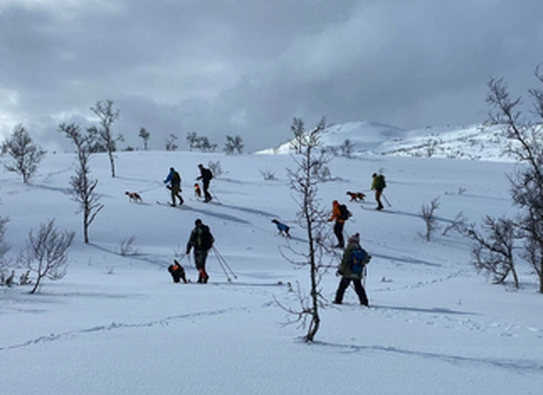 SNUM2024 Hovden - Agder FK