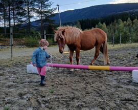 jente og hest