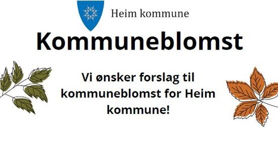 Utklipp fra plakat. Tekst: Vi ønsker forslag til vår kommuneblomst.