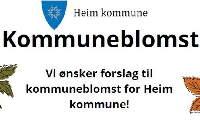 Utklipp fra plakat. Tekst: Vi ønsker forslag til vår kommuneblomst.