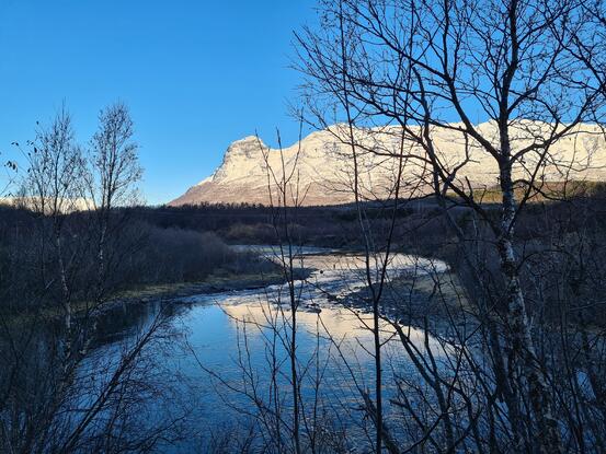 Foto: Sissel Bjørklund