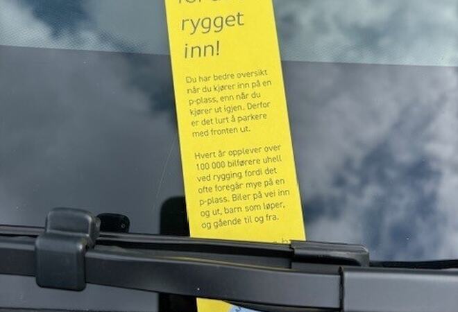 Ryggebot