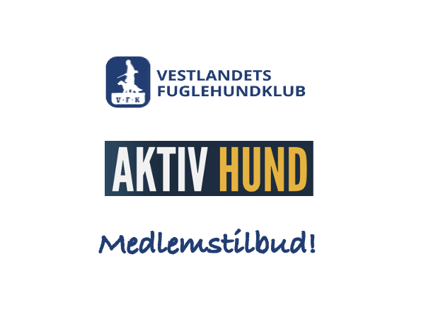 sponsortilbud Aktiv hund