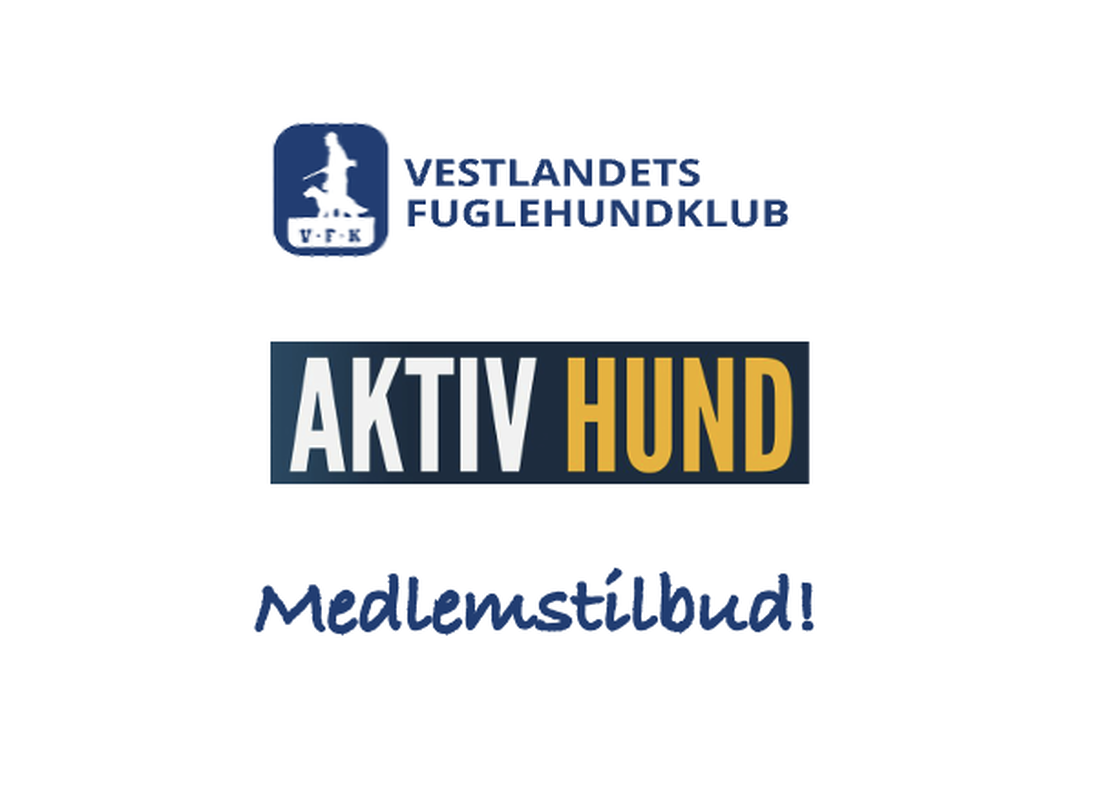 sponsortilbud Aktiv hund