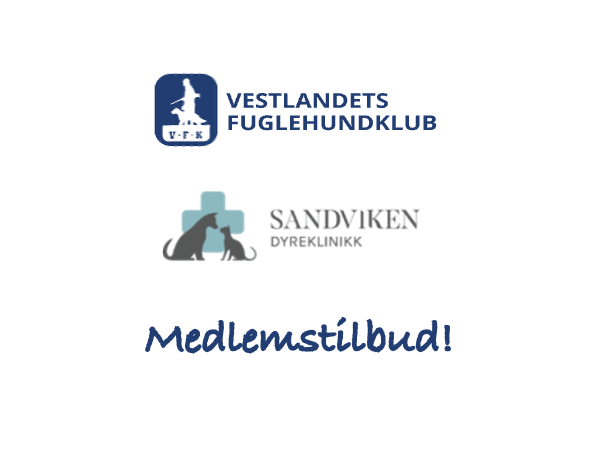 sponsortilbud Sandviken