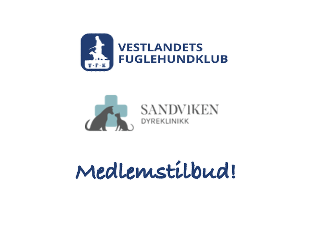 sponsortilbud Sandviken