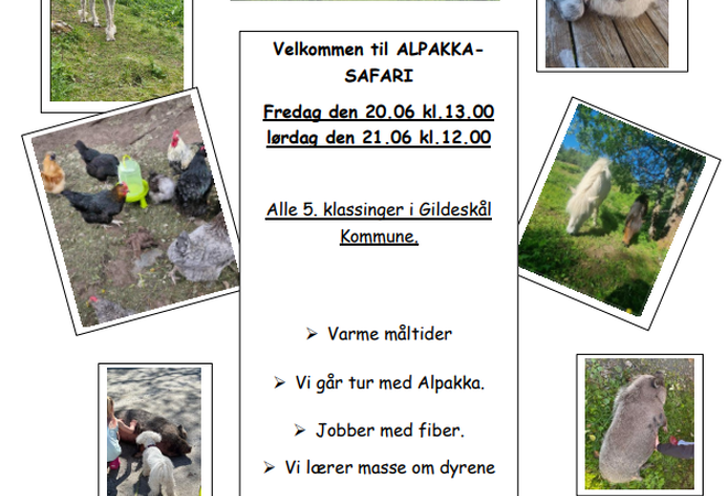 alpakkasafari[1]