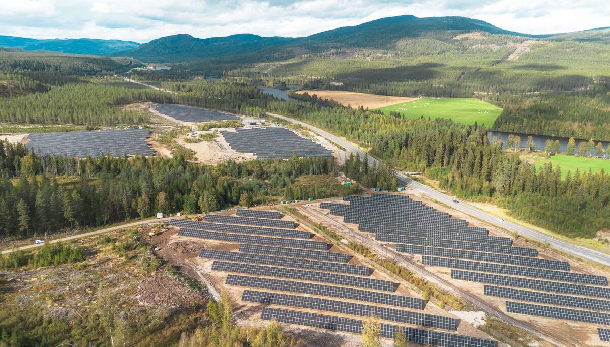 Furuseth solkraftverk er det første storskala bakkebaserte solkraftverk som har fått konsesjon i Norge. Foto: Solgrid