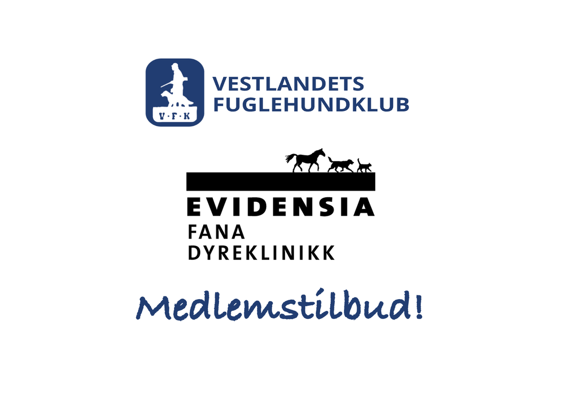 Medlemsfordeler Evidensia Fana