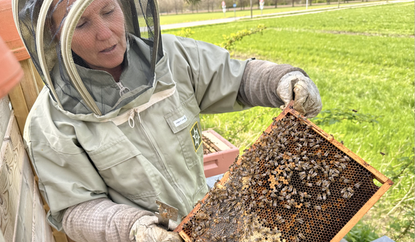 Skjermbilde 2025-07-03 kl