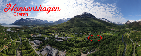 Hansenskogen foto