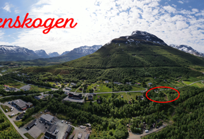 Hansenskogen foto