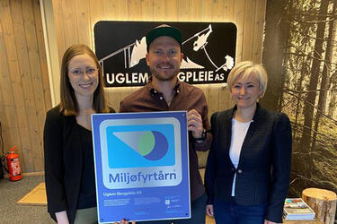 Uglem Skogpleie
