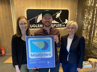 Uglem Skogpleie