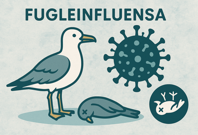 fugleinfluensa