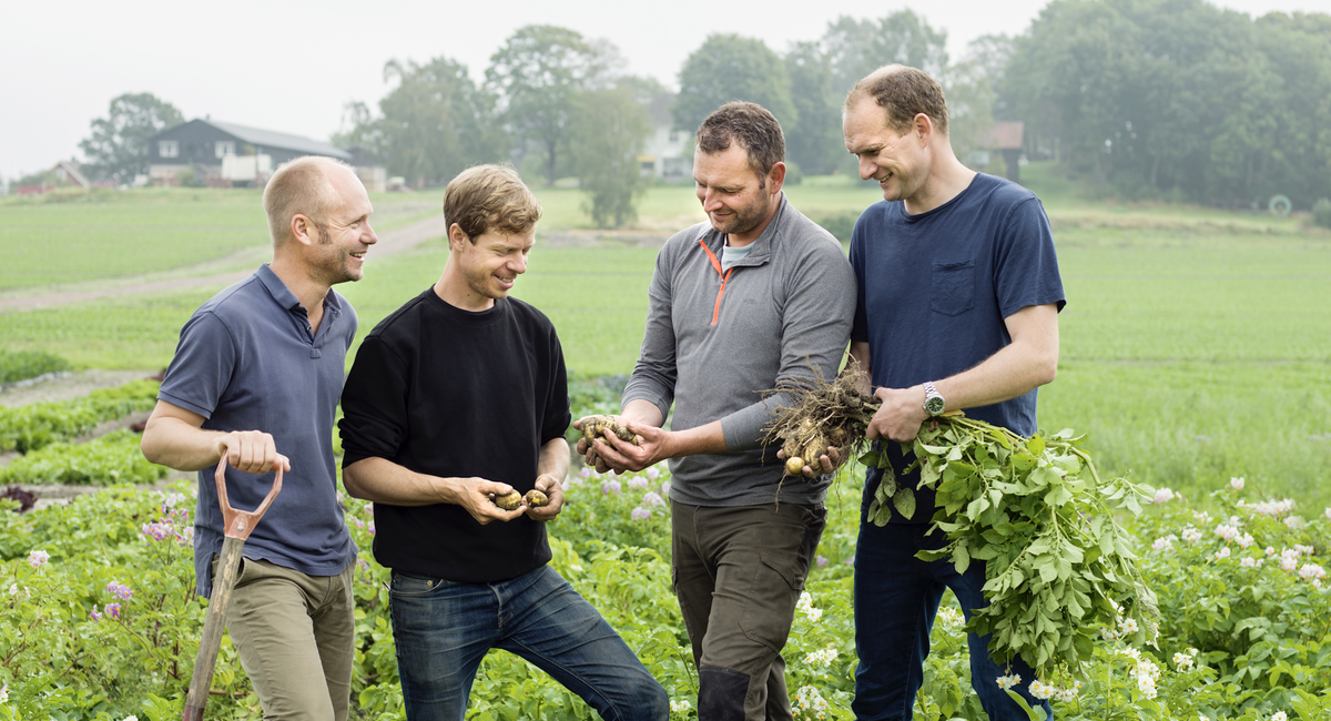 …. Bjertnæs & Hoel eies og drives av brødreparene Åsmund og Lars Bjertnæs, Øystein Hoel og Henrik Raastad-Hoel. Foto: Caroline Roka