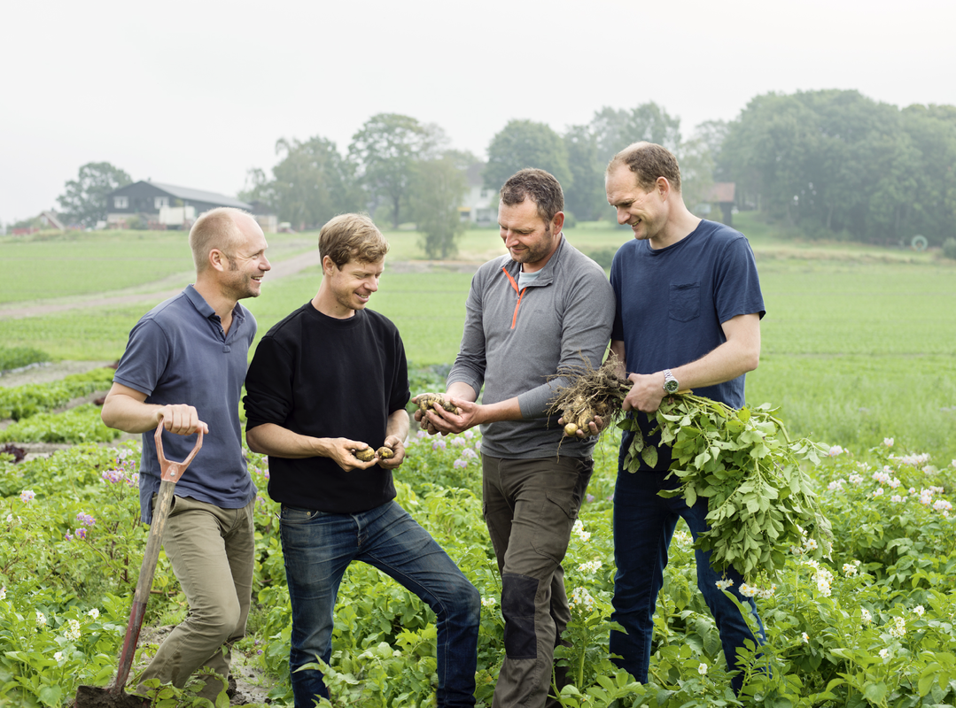 …. Bjertnæs & Hoel eies og drives av brødreparene Åsmund og Lars Bjertnæs, Øystein Hoel og Henrik Raastad-Hoel. Foto: Caroline Roka …. Bjertnæs & Hoel eies og drives av brødreparene Åsmund og Lars Bjertnæs, Øystein Hoel og Henrik Raastad-Hoel. Foto: Caroline Roka