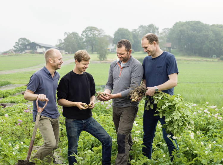 …. Bjertnæs & Hoel eies og drives av brødreparene Åsmund og Lars Bjertnæs, Øystein Hoel og Henrik Raastad-Hoel. Foto: Caroline Roka …. Bjertnæs & Hoel eies og drives av brødreparene Åsmund og Lars Bjertnæs, Øystein Hoel og Henrik Raastad-Hoel. Foto: Caroline Roka