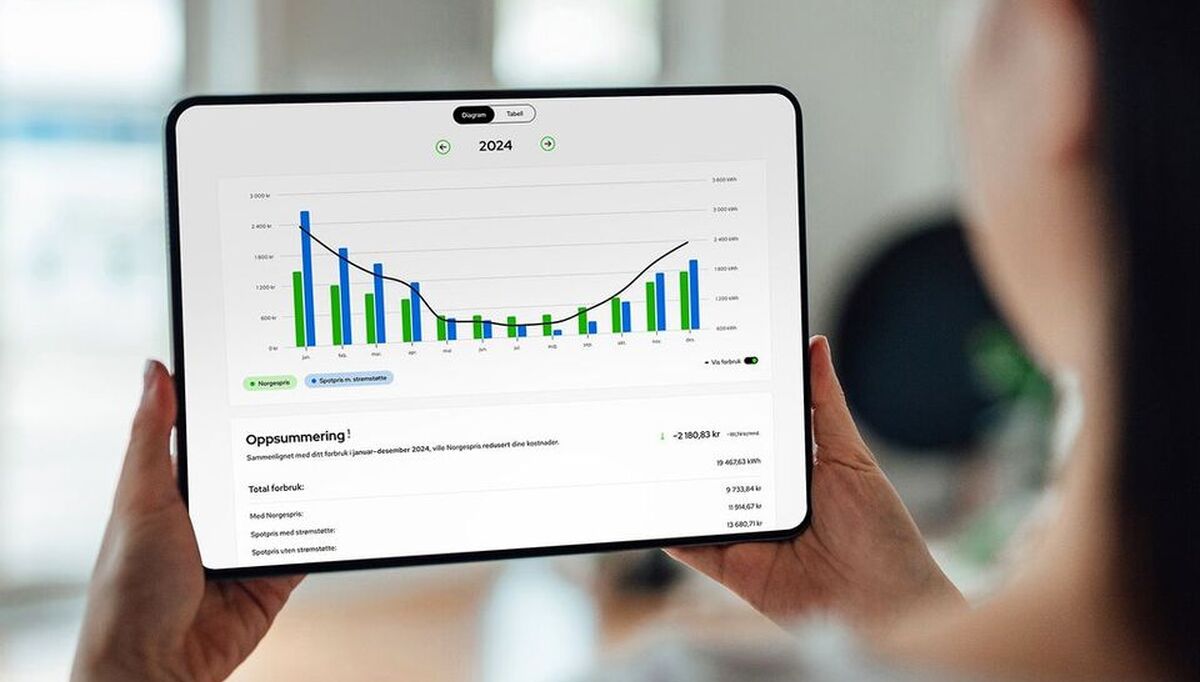 Det er ikke alltid lett å vite hva som lønner seg, men blant annet Elvia har utviklet en Norgespriskalkulator som baserer seg på tidligere forbruk. Foto: Elvia