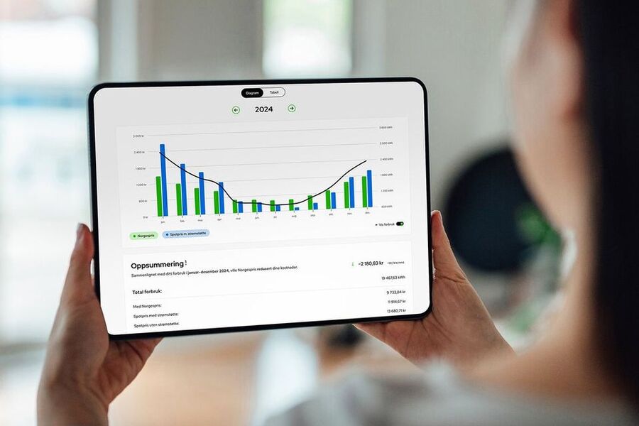 Det er ikke alltid lett å vite hva som lønner seg, men blant annet Elvia har utviklet en Norgespriskalkulator som baserer seg på tidligere forbruk. Foto: Elvia