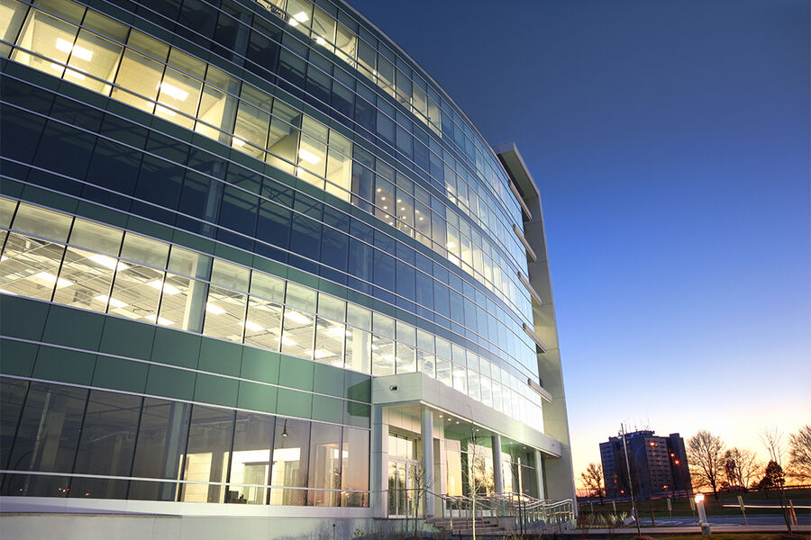 Illustrasjonsfoto. buzbuzzer