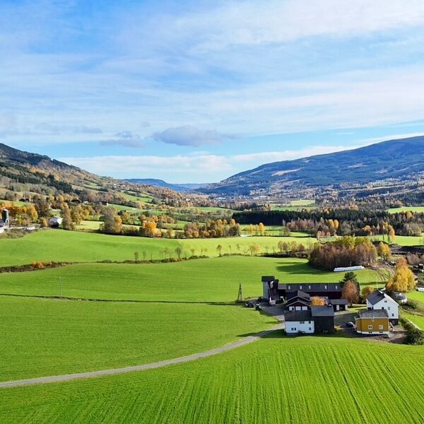Grønt landbrukslandskap Grønt landbrukslandskap