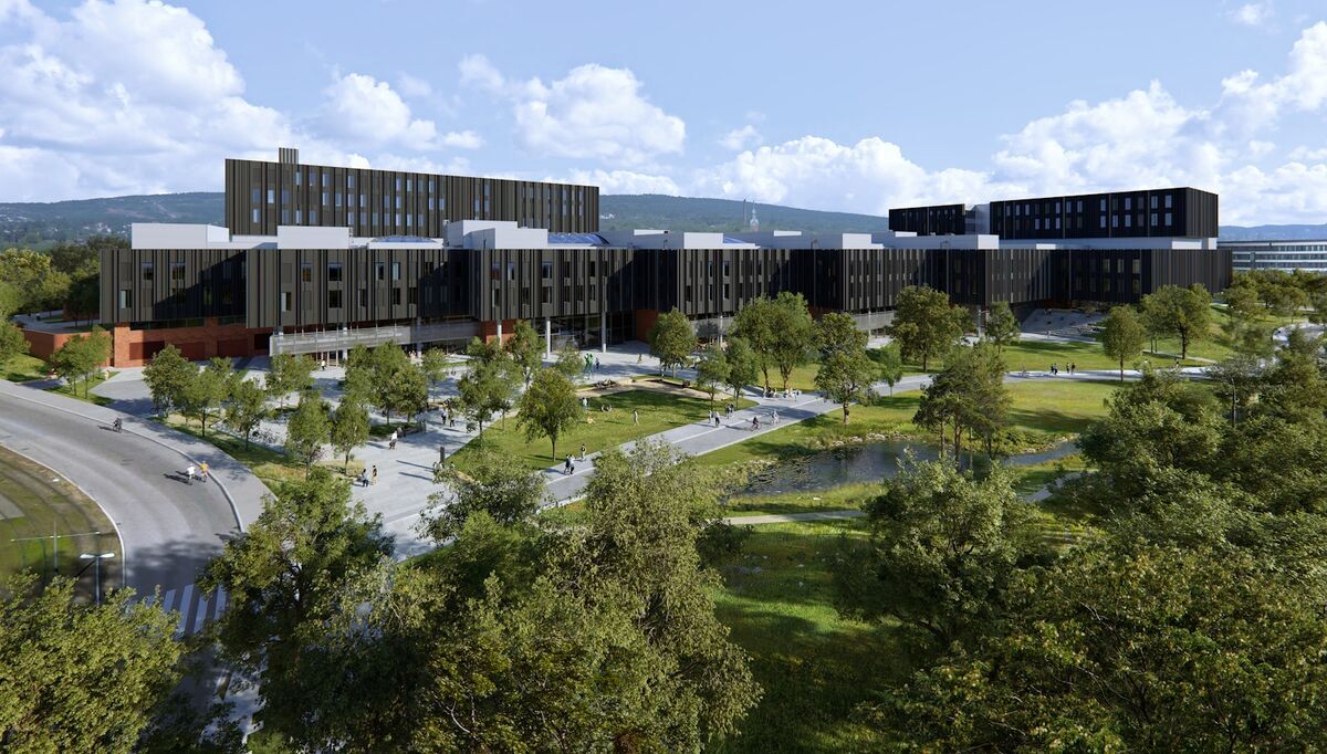 Tvisten handler om Storm Elektro Oslo-Akershus rolle som underleverandør for OneCo på Livsvitenskapsbygget, hvor OneCo er hovedentreprenør på elkraft, IKT og svakstrøm. Retten kom fram til at forholdet mellom Storm Elektro Oslo – Akershus og North Personell var omgåelse av innleieforbudet der arbeidstakerne ble satt i en svak posisjon uten sikkerhet for arbeid eller lønn over tid. Tvisten handler om Storm Elektro Oslo-Akershus rolle som underleverandør for OneCo på Livsvitenskapsbygget, hvor OneCo er hovedentreprenør på elkraft, IKT og svakstrøm. Retten kom fram til at forholdet mellom Storm Elektro Oslo – Akershus og North Personell var omgåelse av innleieforbudet der arbeidstakerne ble satt i en svak posisjon uten sikkerhet for arbeid eller lønn over tid.