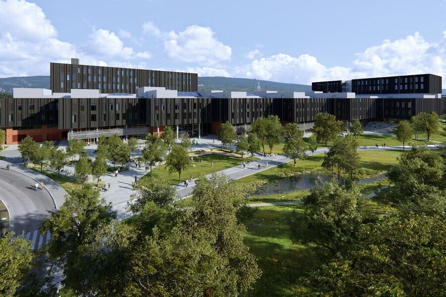 Tvisten handler om Storm Elektro Oslo-Akershus rolle som underleverandør for OneCo på Livsvitenskapsbygget, hvor OneCo er hovedentreprenør på elkraft, IKT og svakstrøm. Retten kom fram til at forholdet mellom Storm Elektro Oslo – Akershus og North Personell var omgåelse av innleieforbudet der arbeidstakerne ble satt i en svak posisjon uten sikkerhet for arbeid eller lønn over tid.