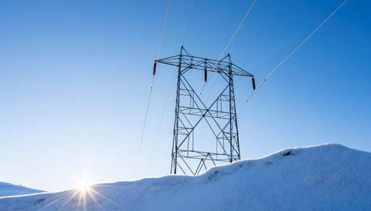 Utbetalingene kommer nettkundene til gode fordi de erstatter inntekter som nettselskapene ellers ville ha hentet inn gjennom nettleien. Foto: RME