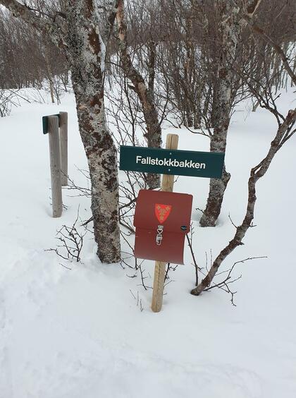 Foto: Jorunn Berg Husøy Vinterbilde Fallstokkbakken
