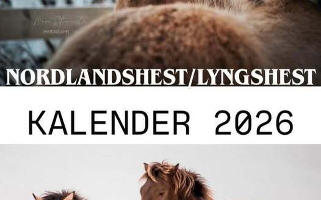 595864569_1603740490980180_4708461817300146826_n